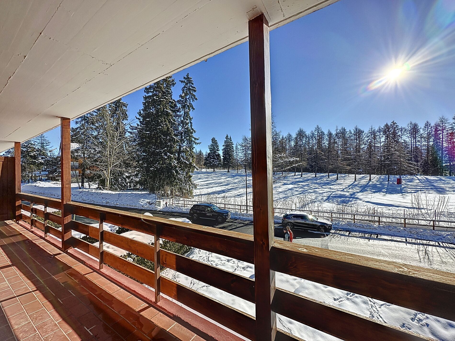 Appartements-Crans-Montana-AtticaMelezes-4983732