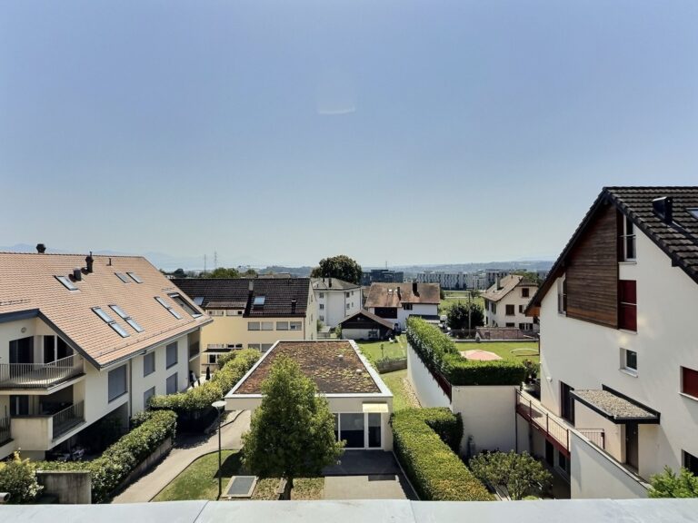 Appartements-Crissier-AtticaappartementCrissier-5496539