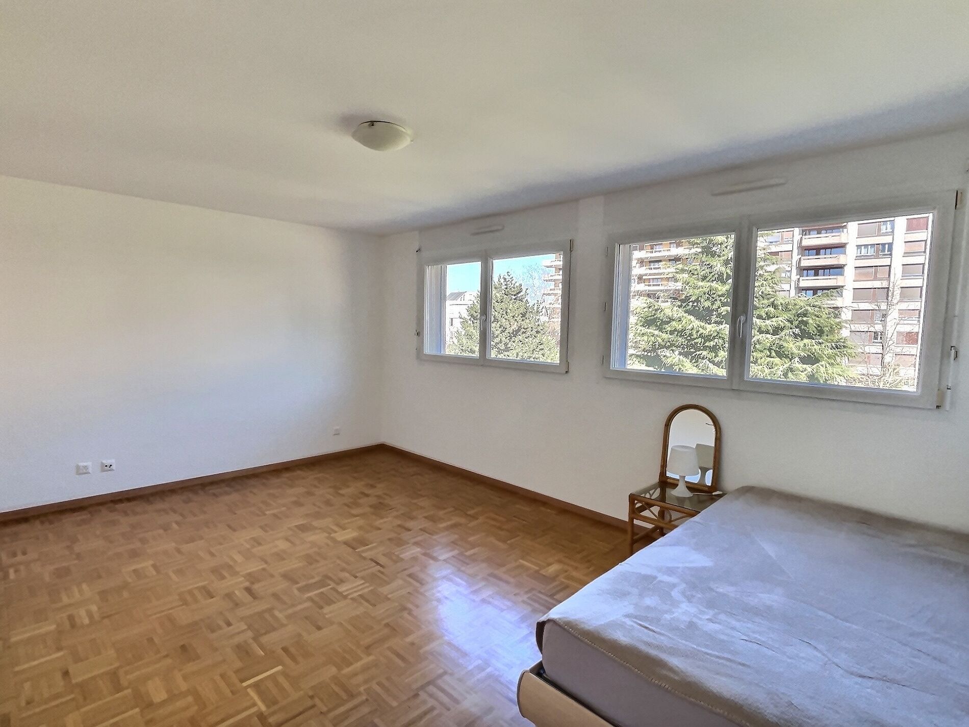 Beautiful duplex penthouse in Grand-Lancy (Geneva) - Vue 6