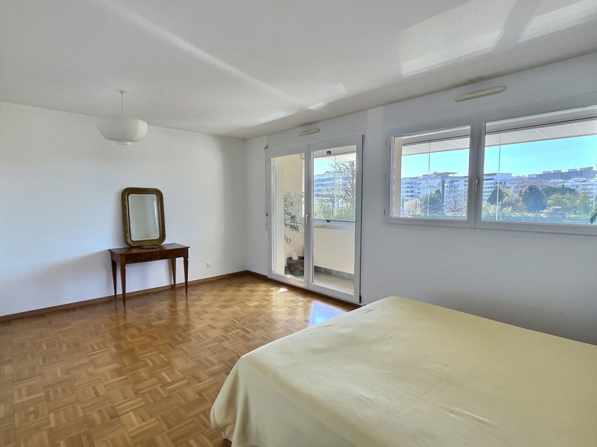 Beautiful duplex penthouse in Grand-Lancy (Geneva) - Vue 8
