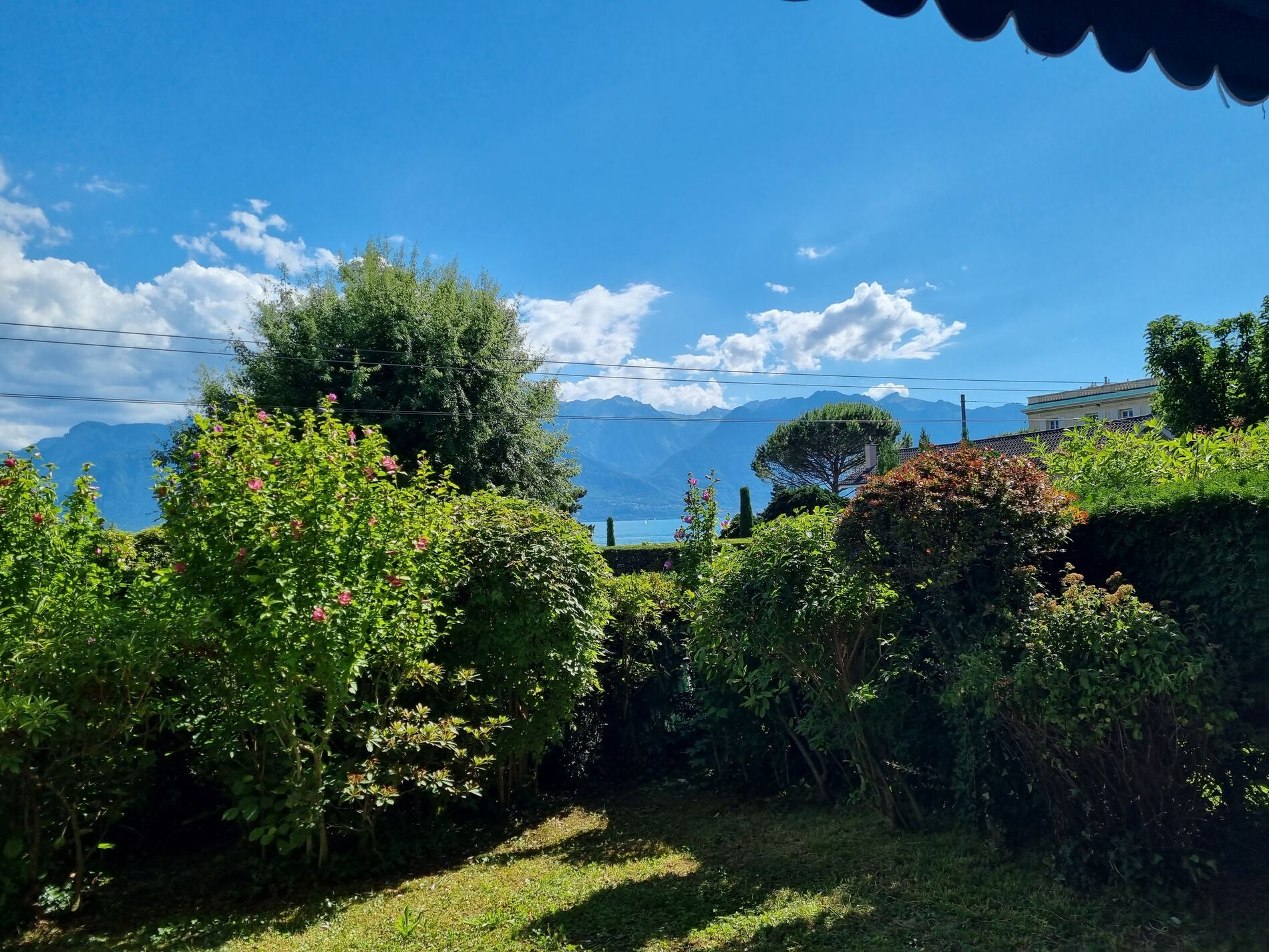 Agréable studio avec jardin - Vue 2