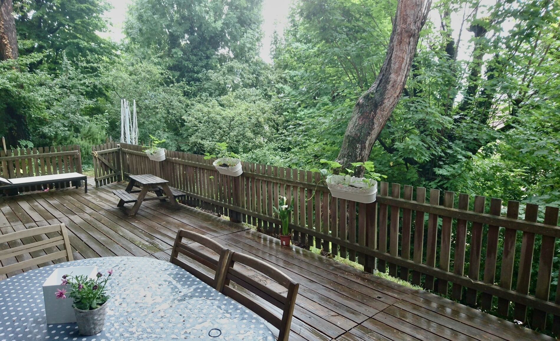 Don’t miss this beautiful apartment with terrace and garden! - Vue 8
