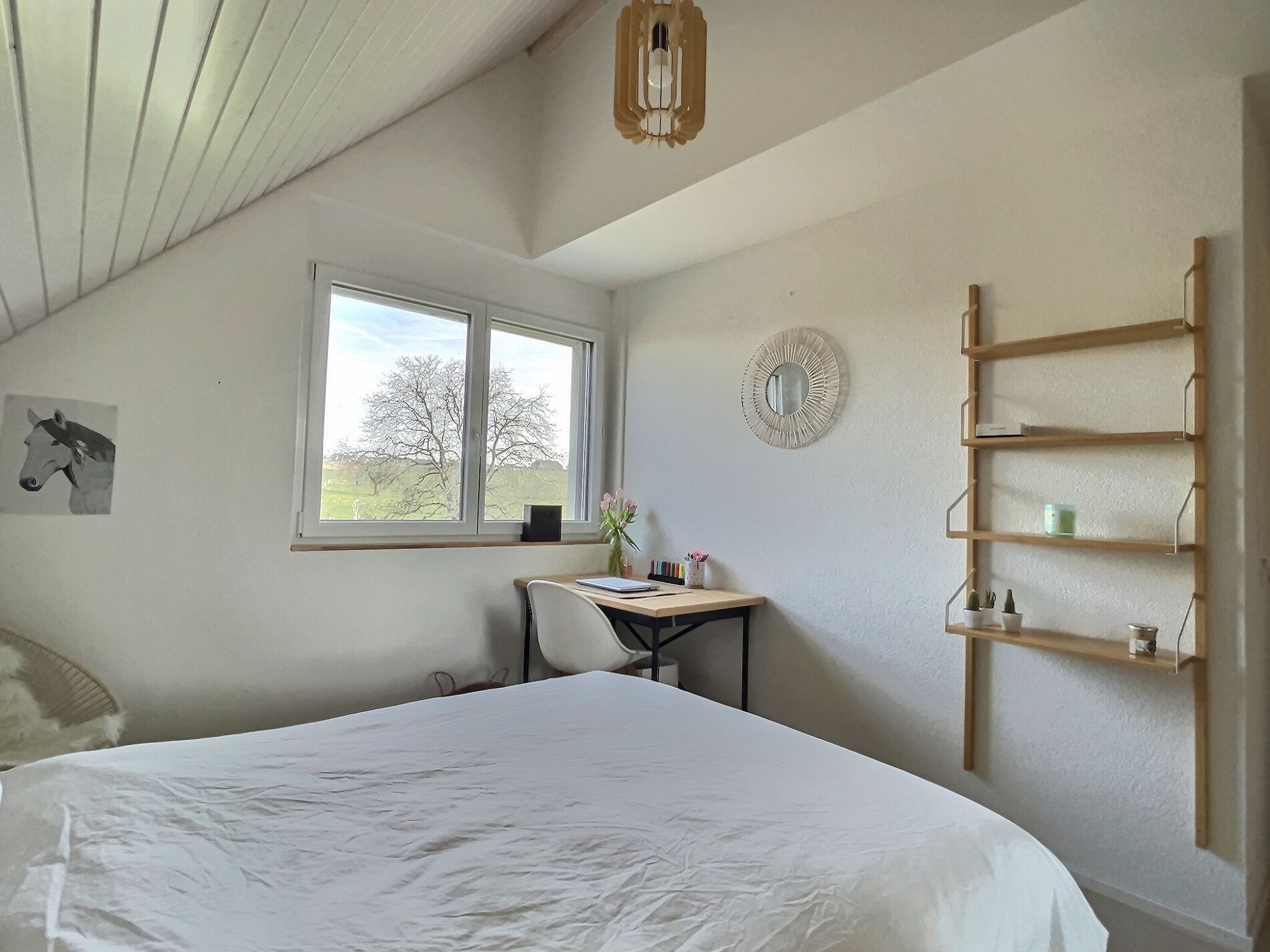 Penthaz – Penthouse with countryside views - Vue 6