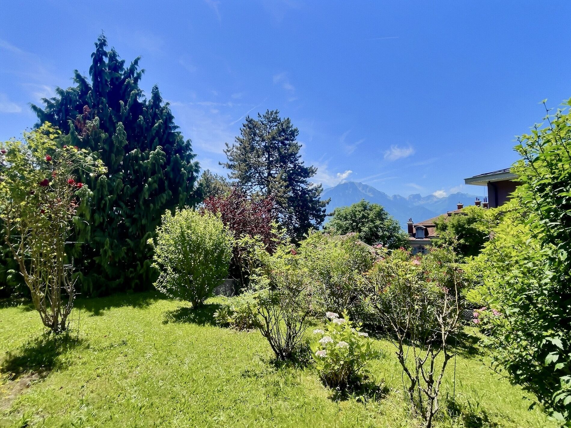 Beautiful and welcoming renovated apartment with garden - Vue 2