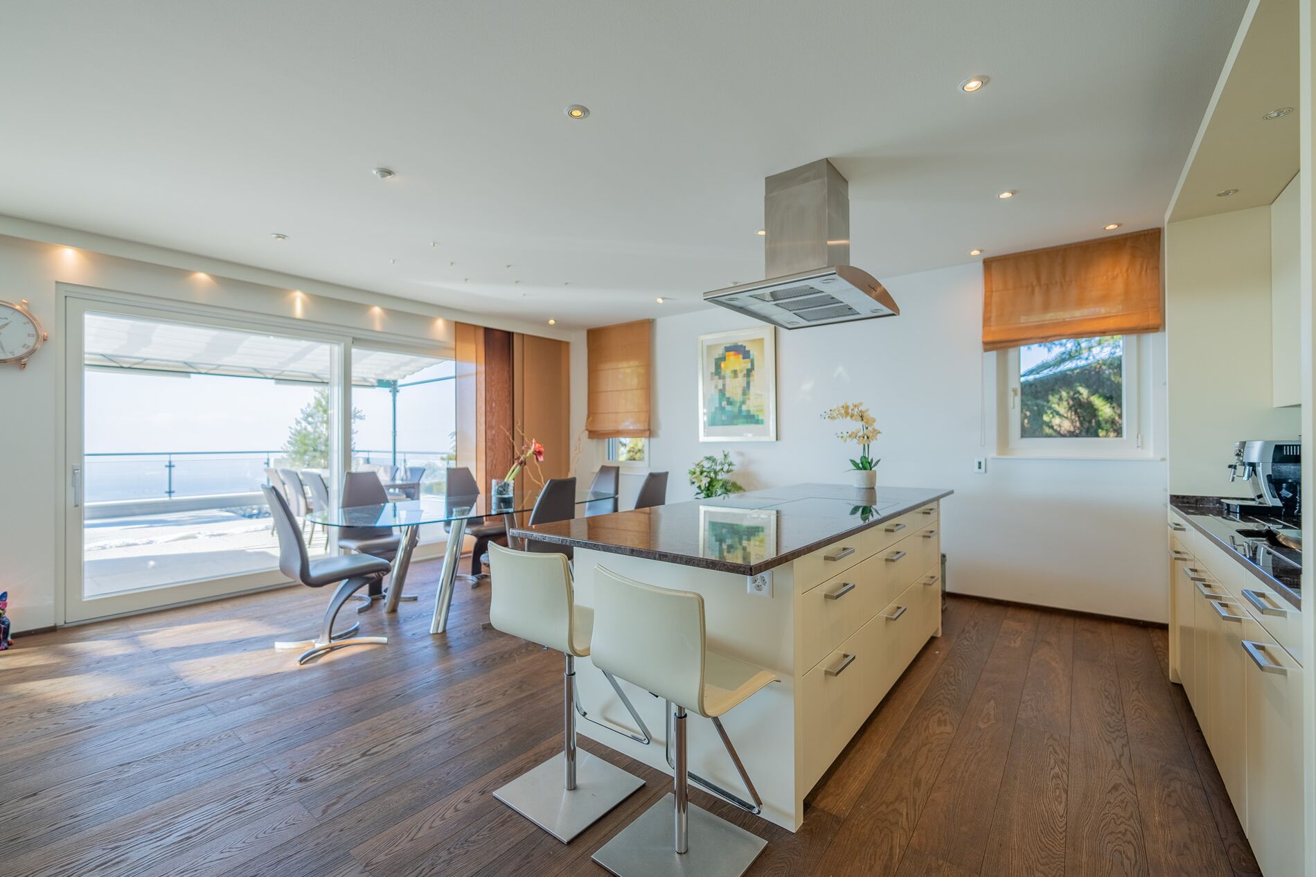 Bright and spacious luxury apartment with lake view - Vue 4