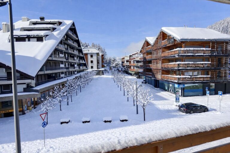 Appartements-Montana-AtticaMontanaappart-5869803