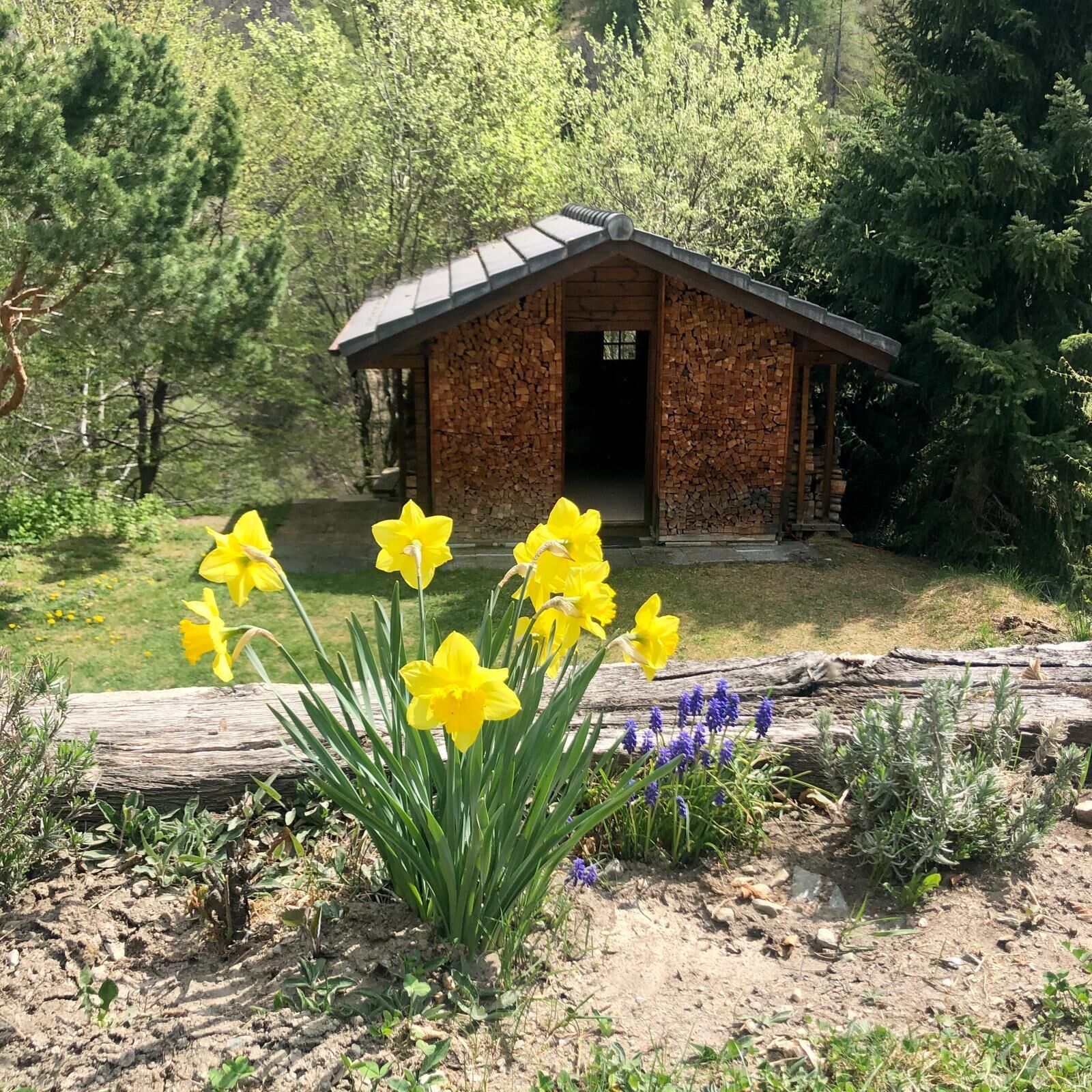 Charming, fully renovated mountain chalet - Vue 12